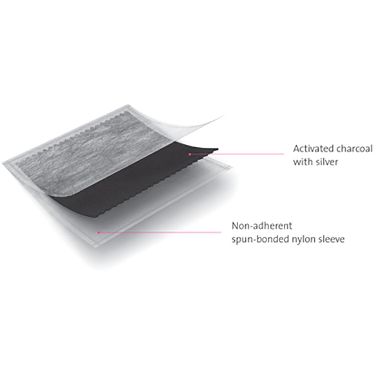 Actisorb Silver 220 Systagenix