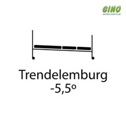 Aluguel Cama Hospitalar Motorizada 5 Movimentos ajuste altura