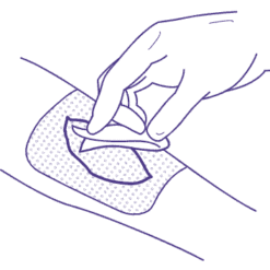 Membracel Membrana Regeneradora Porosa