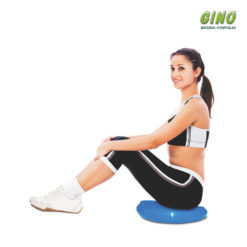 Disco De Equilíbrio Fisiopauher