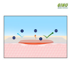 Filme Transparente em Rolo PolarFix